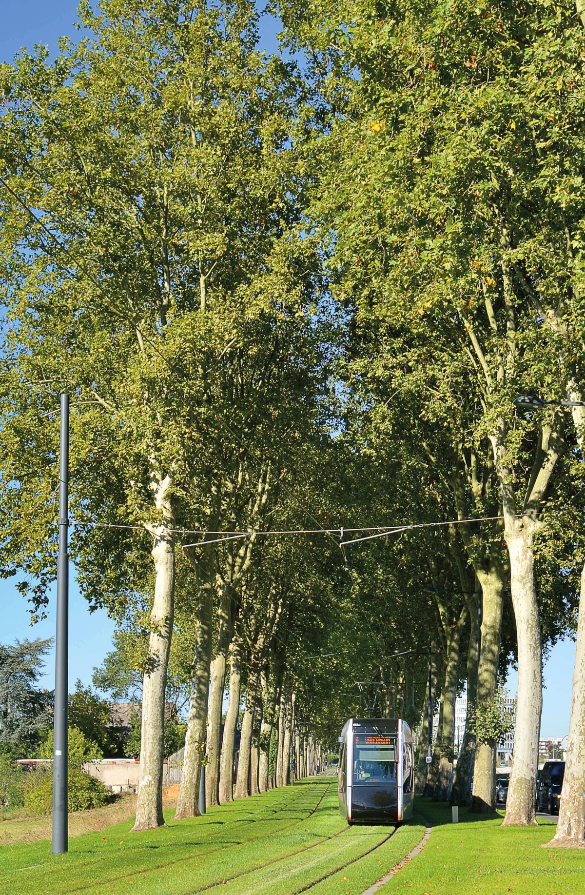Le tramway de Tours tramway-tours-septembre-2013-260