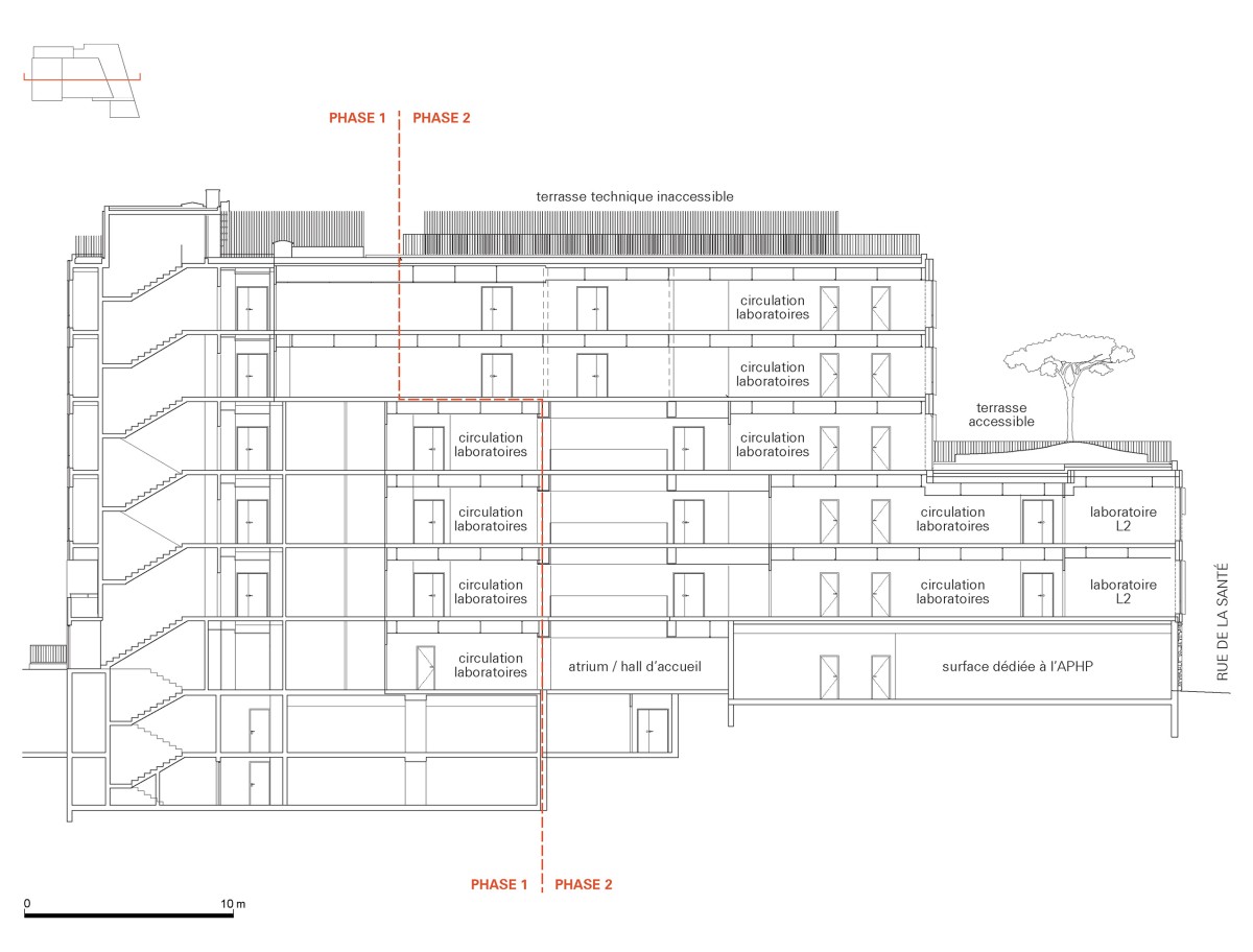 Paris Santé Cochin Incubator coh_coupe-phase