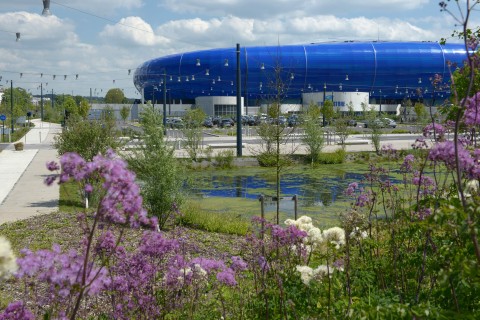 Un paysage pour le Grand Stade dsc_2875-1_vignette