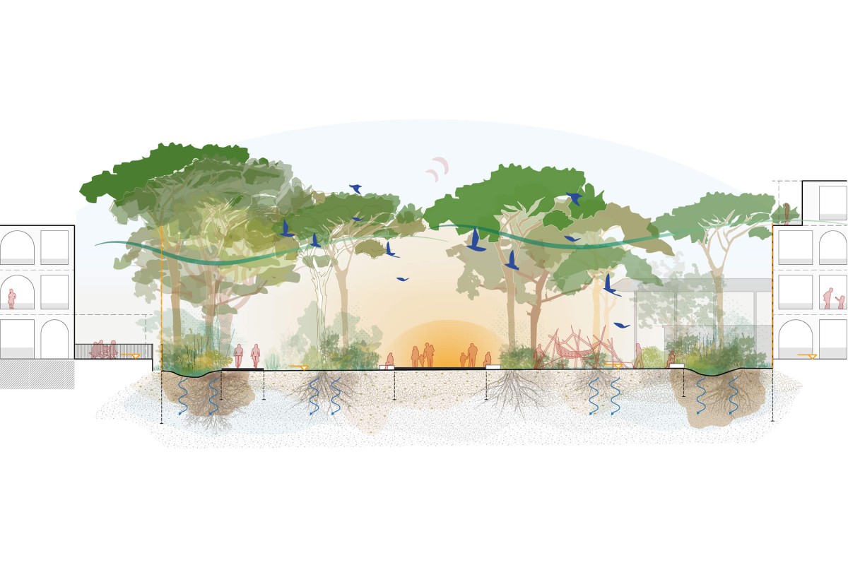 Vivre au cœur de la nature vvf_coupes-projet-levant